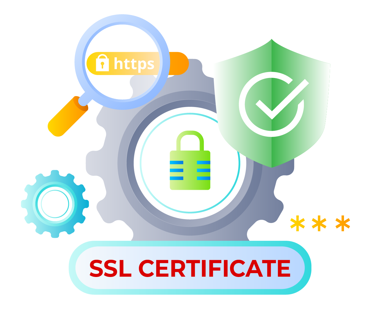 Advanced SSL Certificate Features